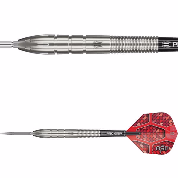 Target Nathan Aspinall dartpile