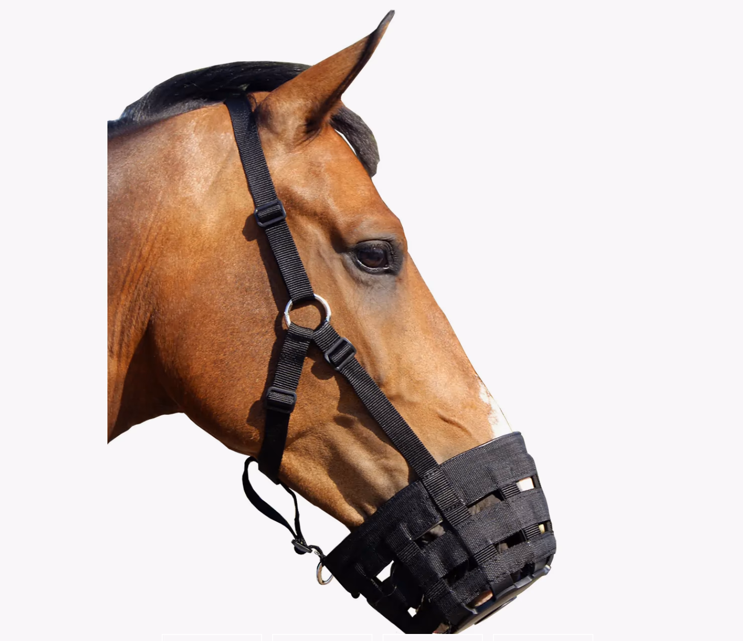 QHP Mundkurv mundkurv